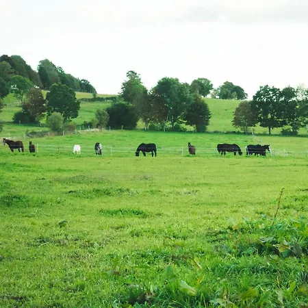 Urlaub Auf Dem Reiterhof Schaarschmidt דירה *