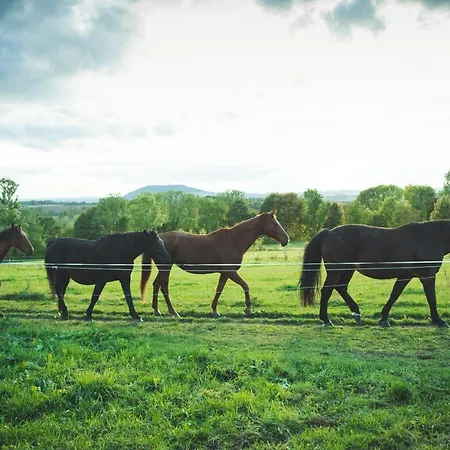 Urlaub Auf Dem Reiterhof Schaarschmidt Großrückerswalde