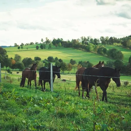Daire Urlaub Auf Dem Reiterhof Schaarschmidt Großrückerswalde